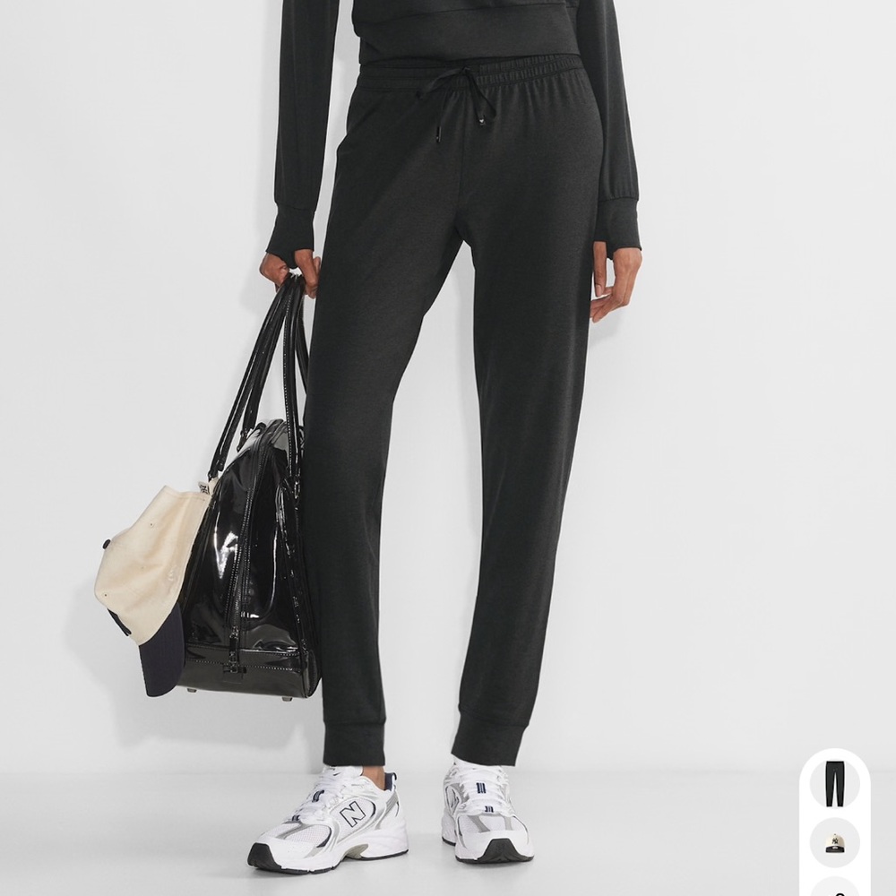 Aritzia jogger pants